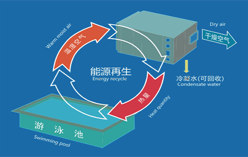 室內(nèi)恒溫游泳池,室內(nèi)游泳池,室內(nèi)恒溫游泳池除濕機(jī)